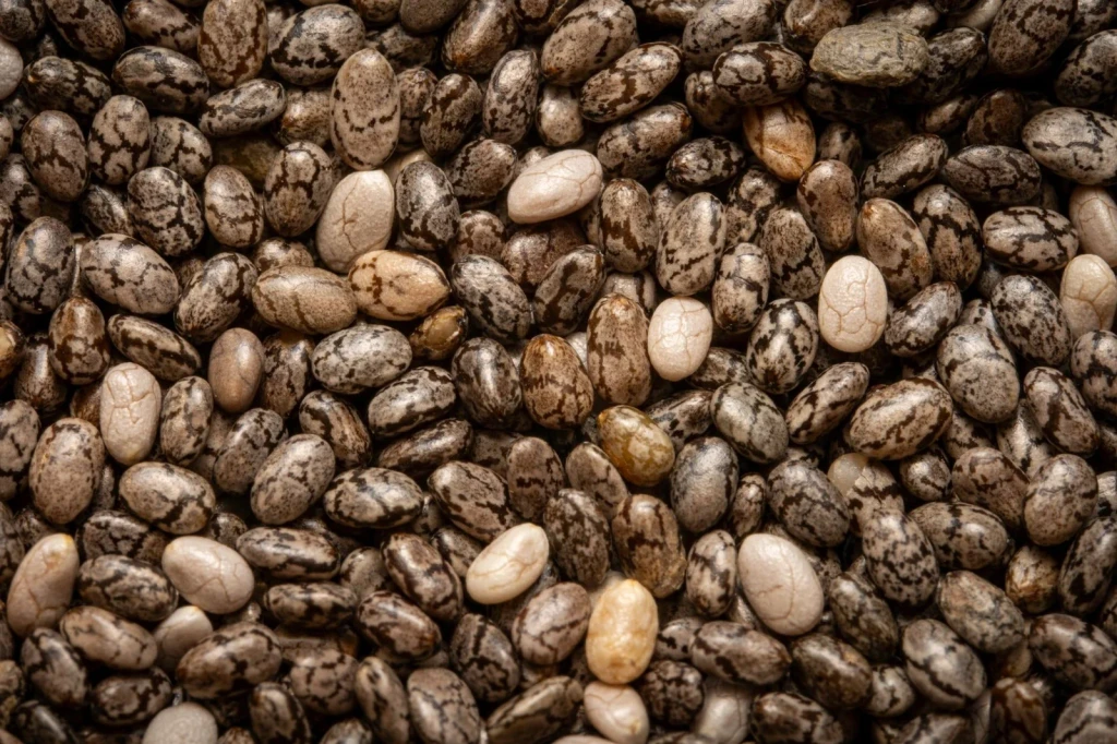 Pattern in Beans, from The Quiet Engineering of Seeds