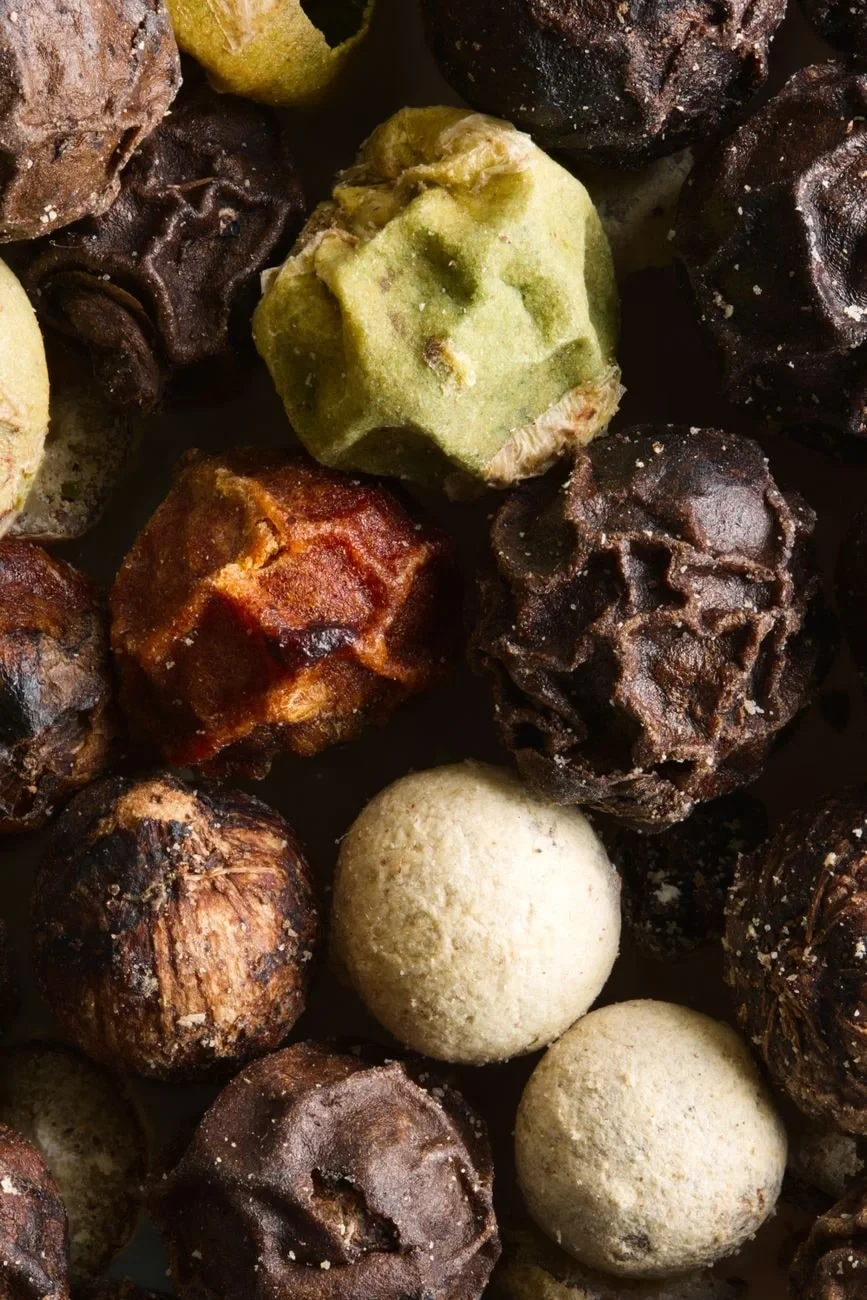 Dried Spices in Detail, from The Quiet Engineering of Seeds