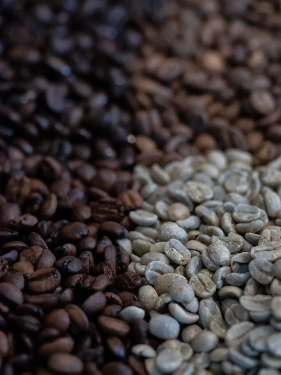 Roasted Variations, from The Quiet Engineering of Seeds