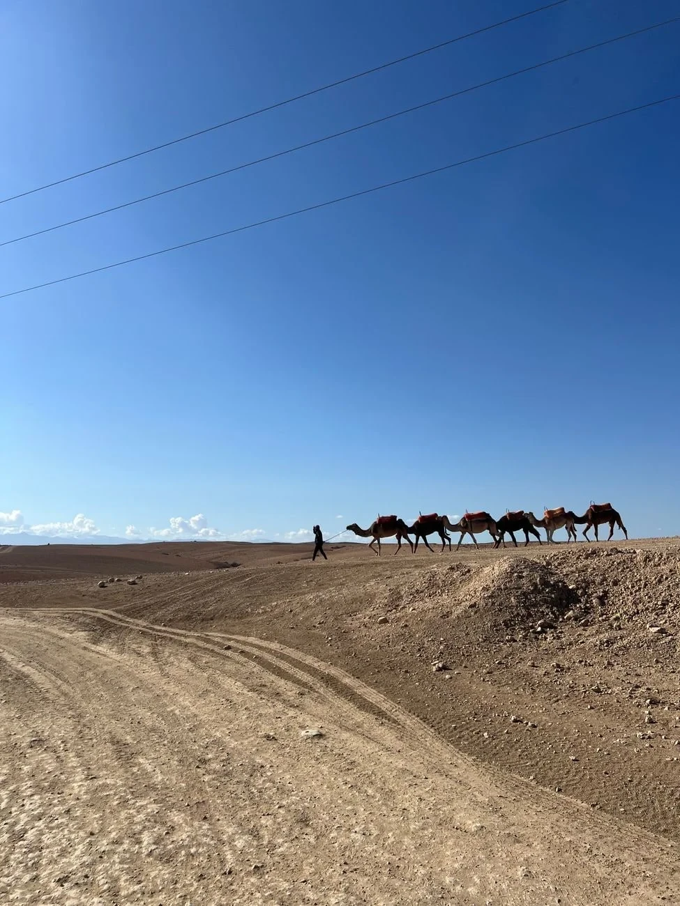 Desert Crossing, from The Silk Road Between Empires