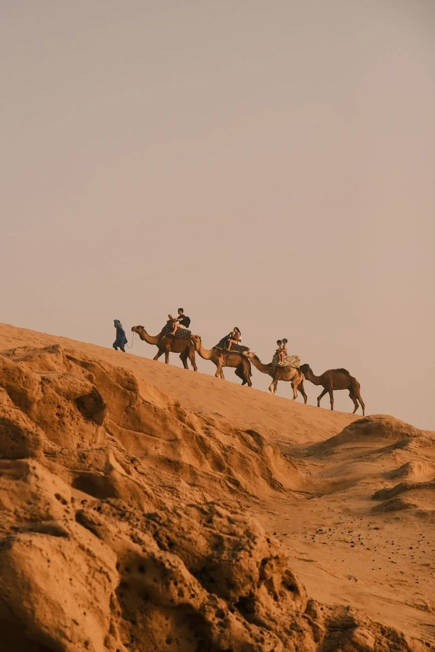 Silhouettes at Dusk, from The Silk Road Between Empires