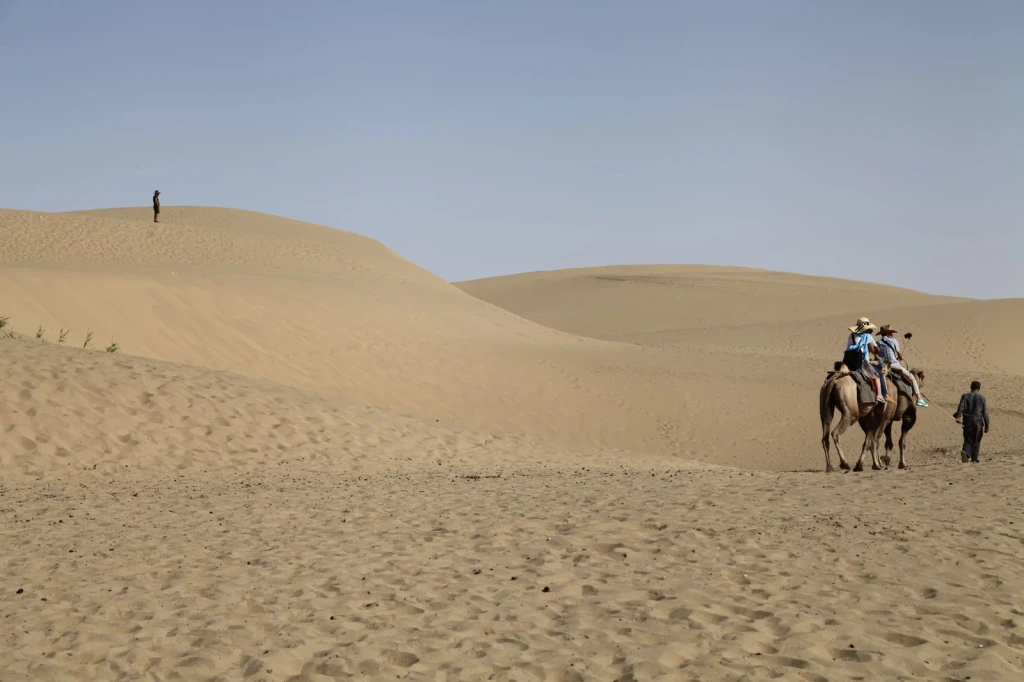 Caravan Across Dunes, from The Silk Road Between Empires
