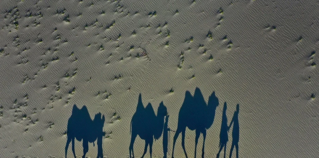 Shadow Traces, from The Silk Road Between Empires