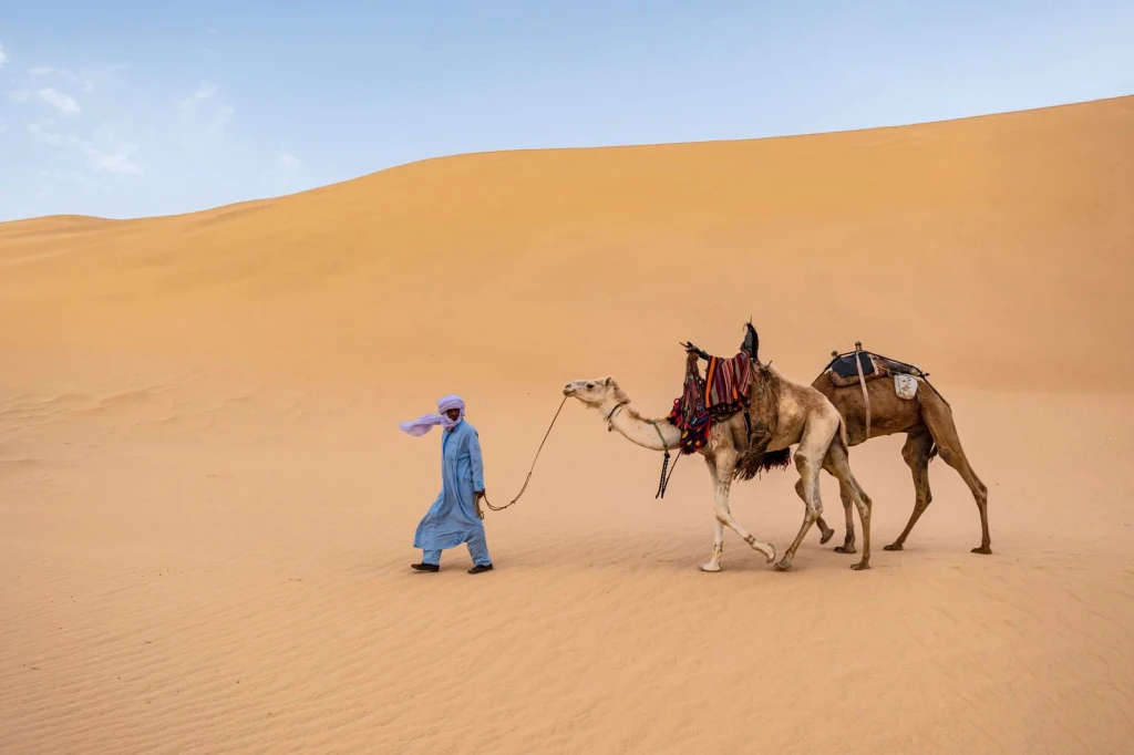 Guide and Animals, from The Silk Road Between Empires