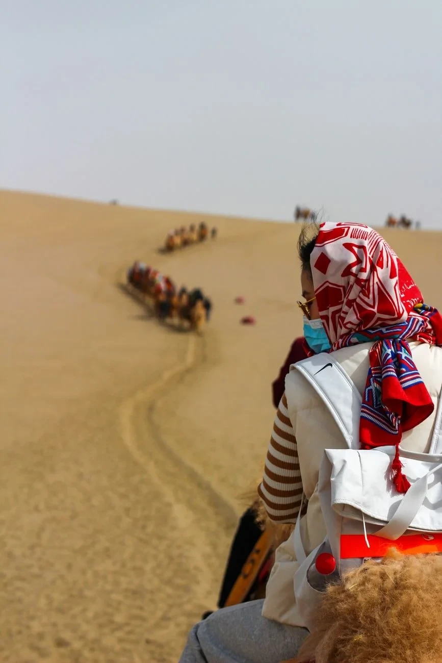 Desert Journey, from The Silk Road Between Empires