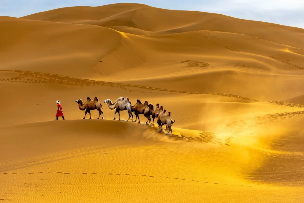 Caravan Route, from The Silk Road Between Empires