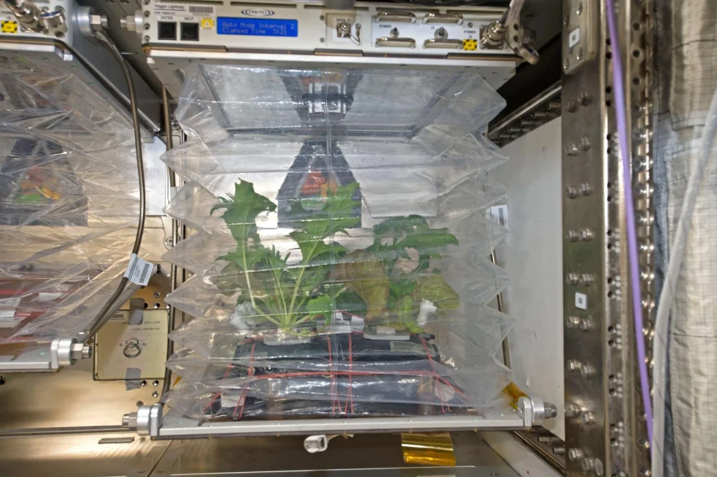 Veg-03D Experiment Onboard the International Space Station, from The Space Station