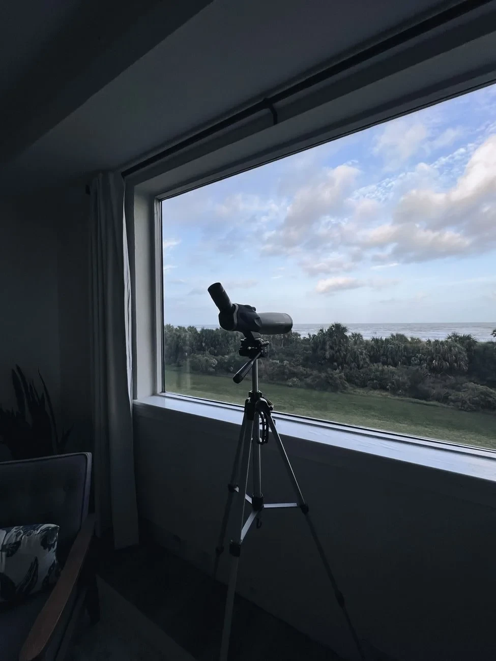 Window Vigil, from The Telescope Deepened the Night