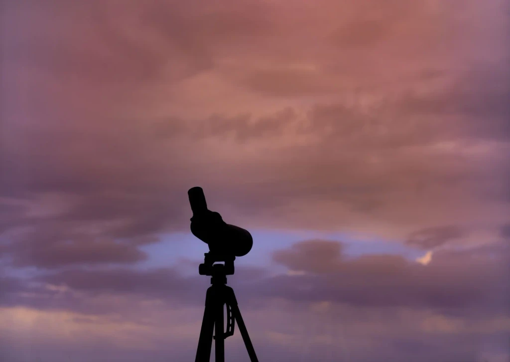 Silhouette Against Sky, from The Telescope Deepened the Night