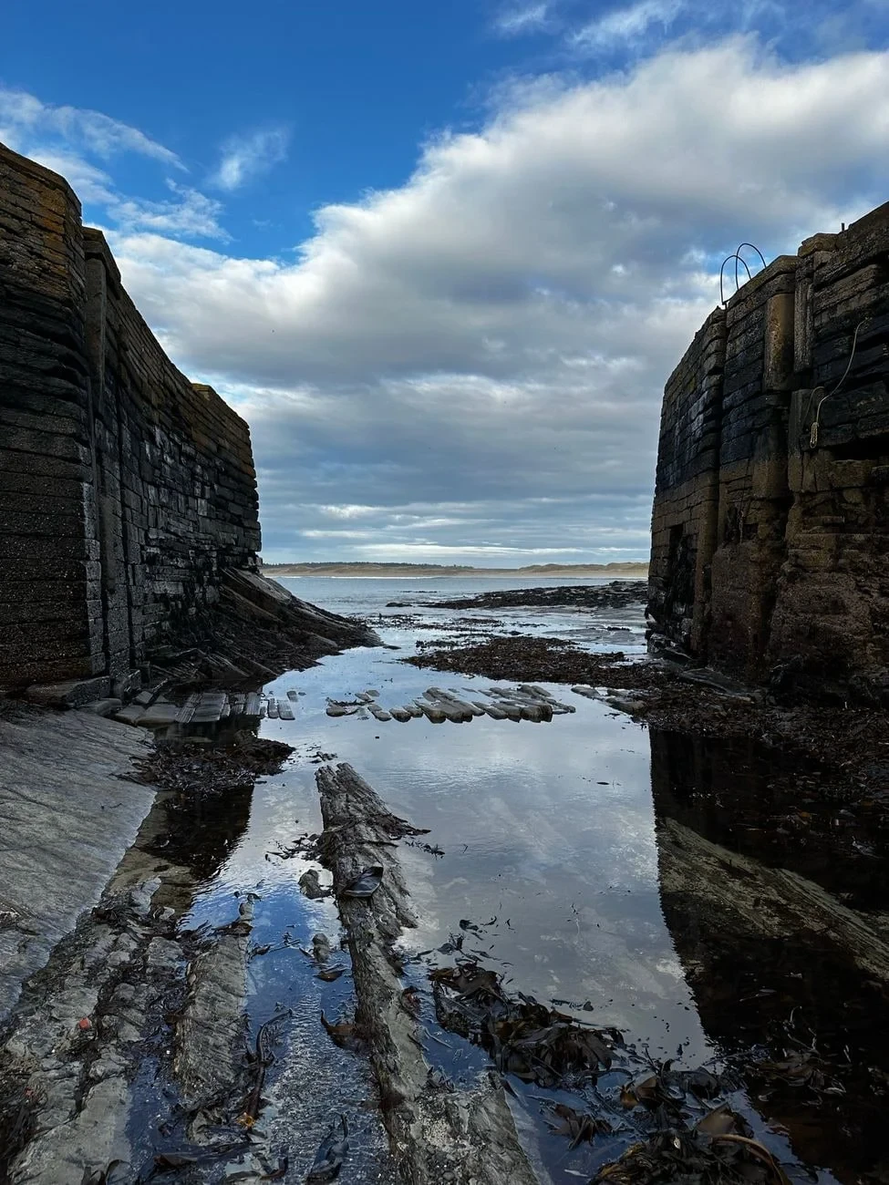 Harbour at Low Tide, from Tides: The Moon Pulling at the Ocean