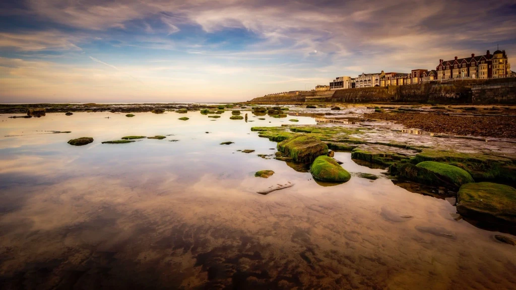 Rocks at Dusk, from Tides: The Moon Pulling at the Ocean