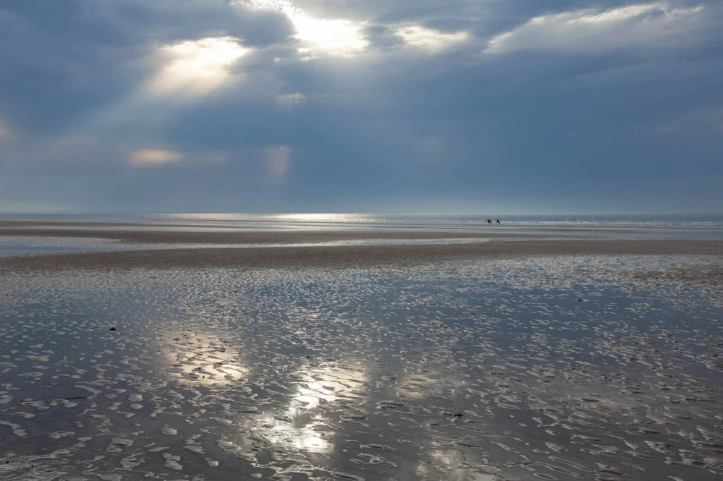 Sunlit Reflections, from Tides: The Moon Pulling at the Ocean