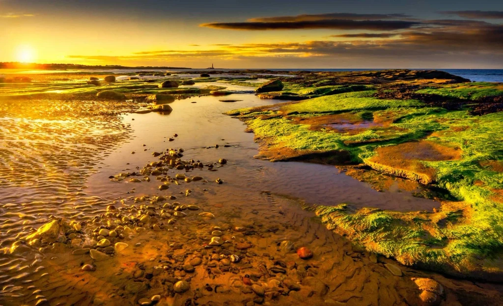 Golden Reflection, from Tides: The Moon Pulling at the Ocean