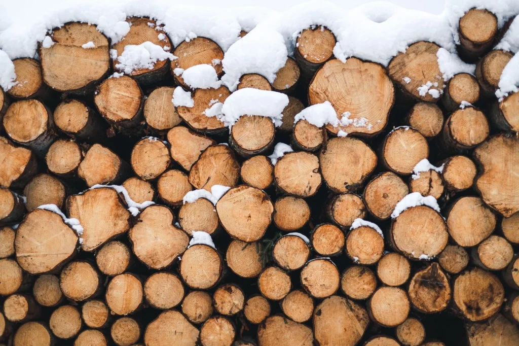 Winter Wood, from Timber: The Material of Every Era