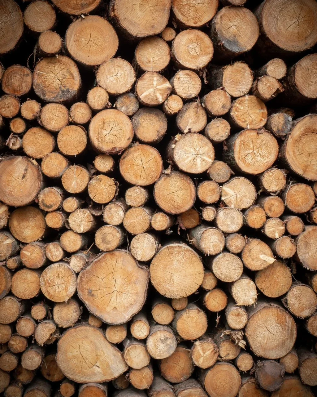 Stacked Logs: Natural Detail, from Timber: The Material of Every Era