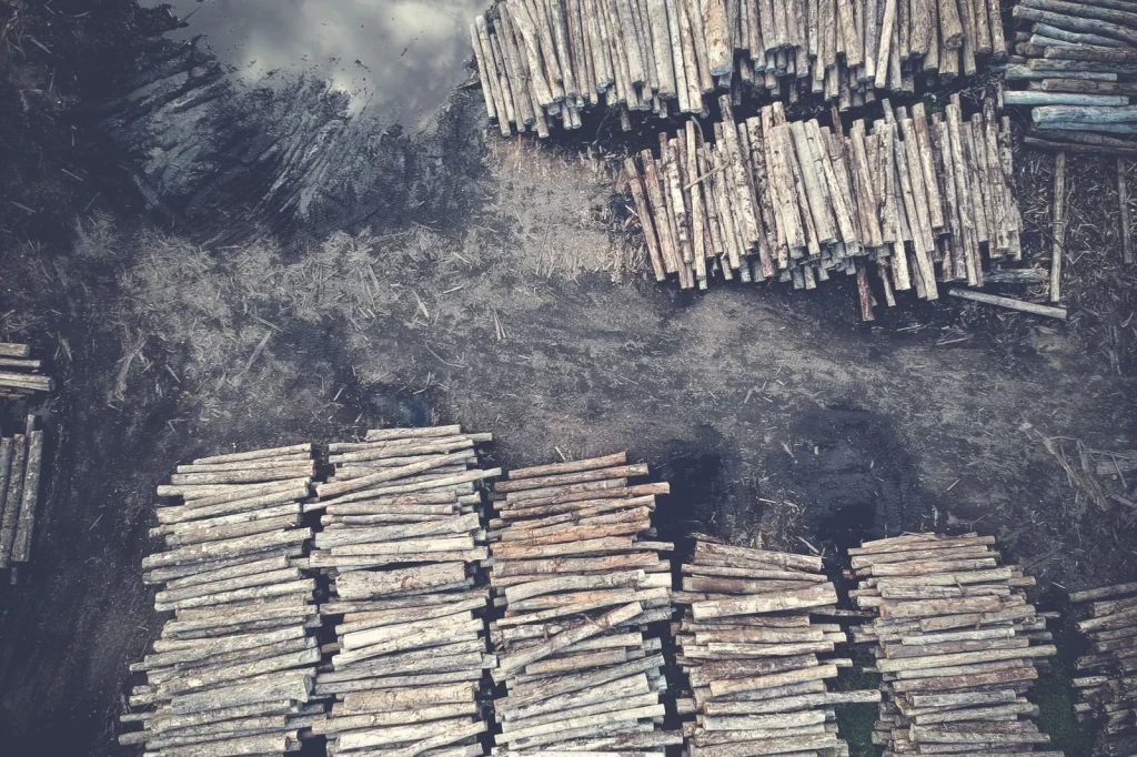 Aerial Order, from Timber: The Material of Every Era