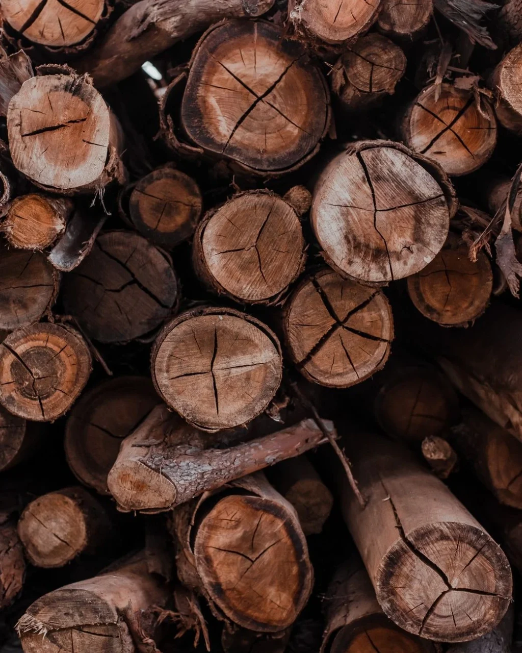 Texture and Form, from Timber: The Material of Every Era