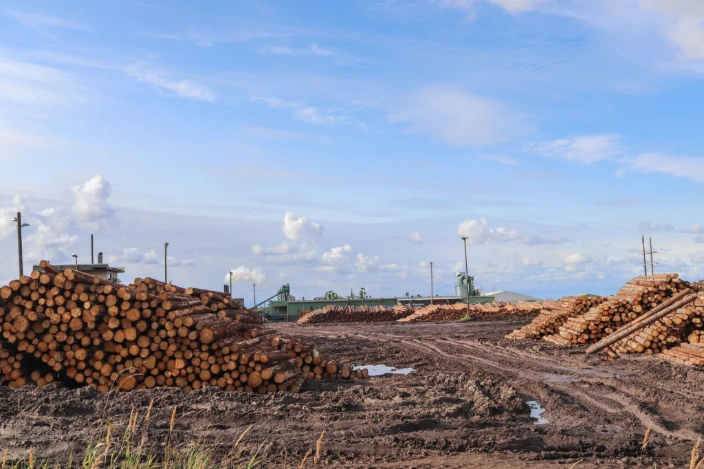 Timber Yard Stock, from Timber: The Material of Every Era