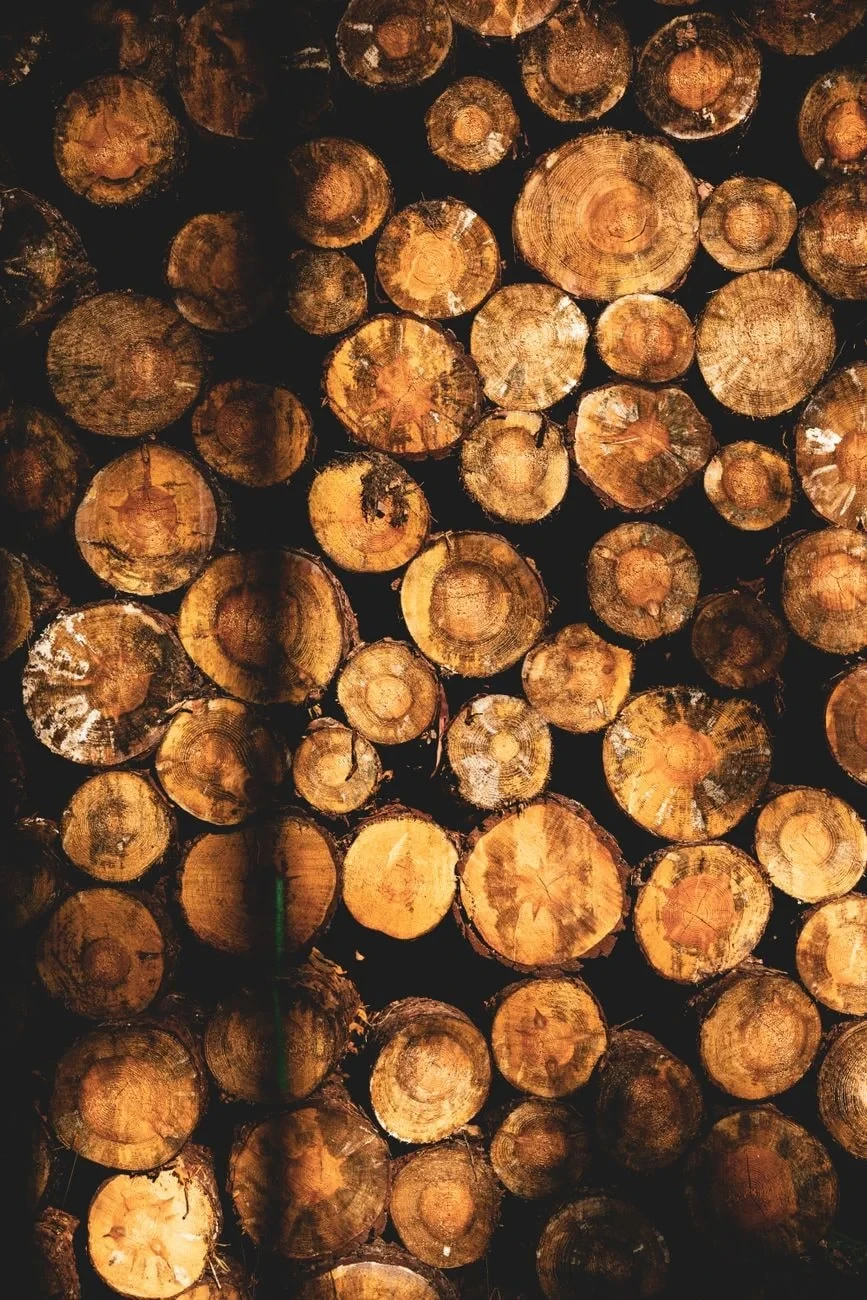 Log Patterns, from Timber: The Material of Every Era