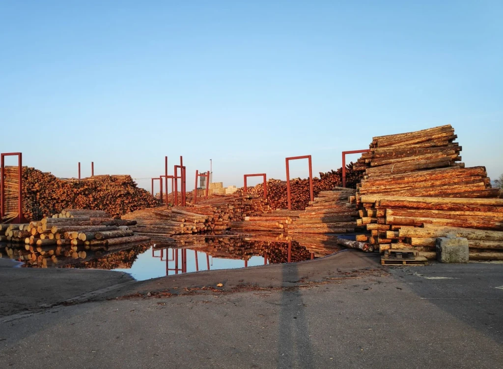 Industrial Scale, from Timber: The Material of Every Era