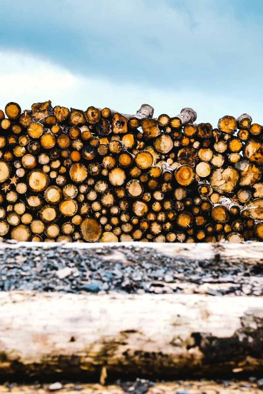 Vertical Stack, from Timber: The Material of Every Era