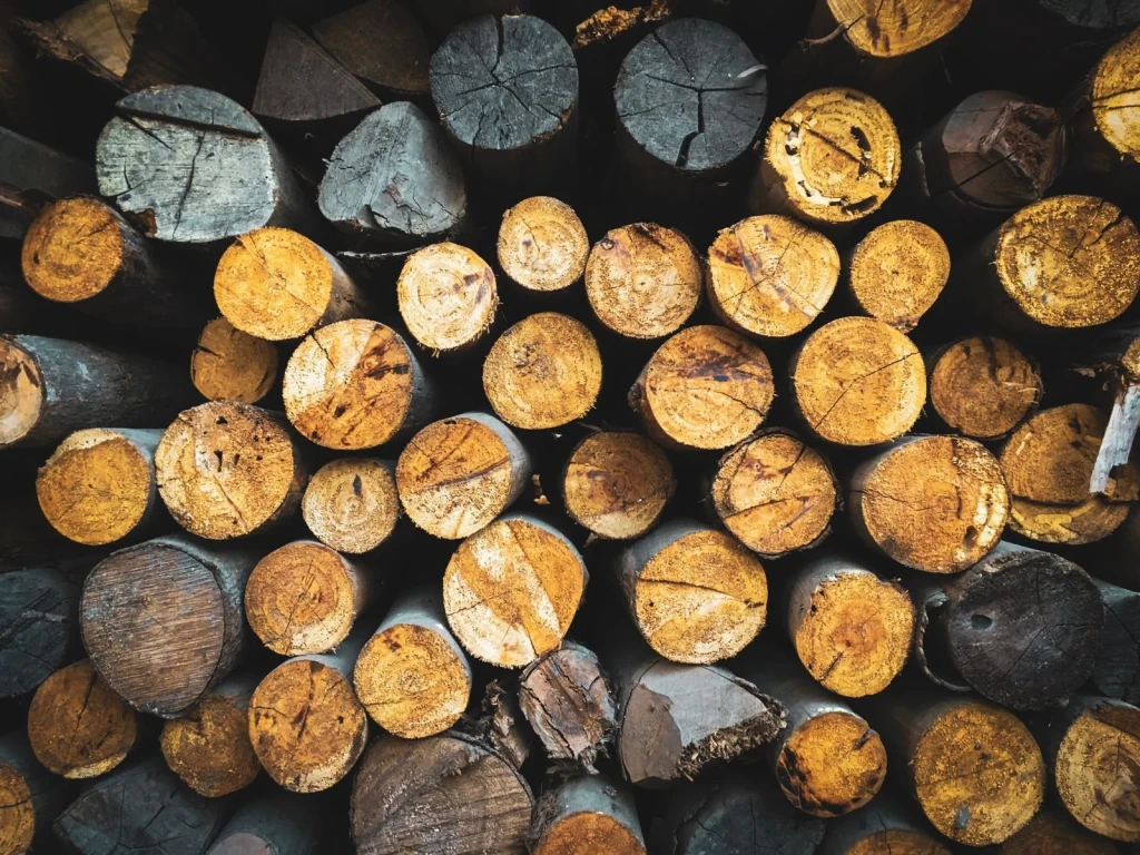 Firewood: Domestic Use, from Timber: The Material of Every Era