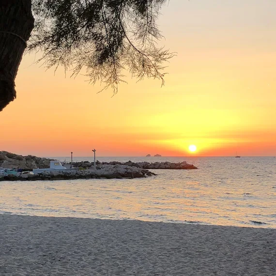Greek Island Beach Sunset Print, Tamarisk Tree Seaside Wall Art, Greece Photography, Coastal Home Decor, Christmas Gift Traveler, from Ventures & Voyages