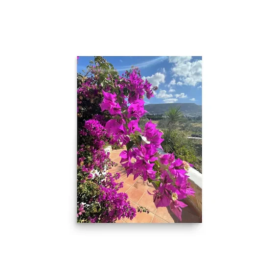 Paros Magenta Bougainvillea Print | Greek Island Flower Wall Art | Mediterranean Floral Photography, from Ventures & Voyages