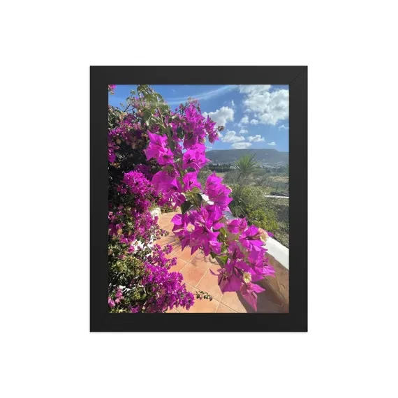 Paros Magenta Bougainvillea — Framed Print | Greek Island Flower Wall Art | Mediterranean Floral Photography, from Ventures & Voyages