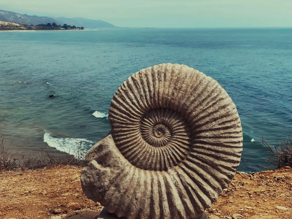 Monument and Seascape, from What Fossils Taught Us About Deep Time