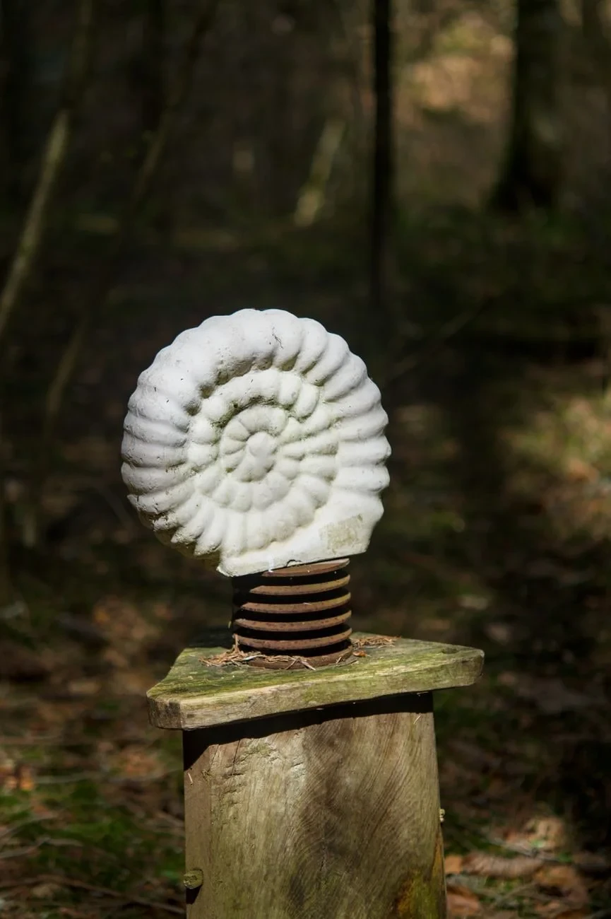 Fossil in Landscape, from What Fossils Taught Us About Deep Time