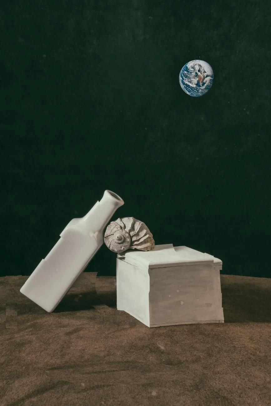 Abstract Composition, from What Fossils Taught Us About Deep Time