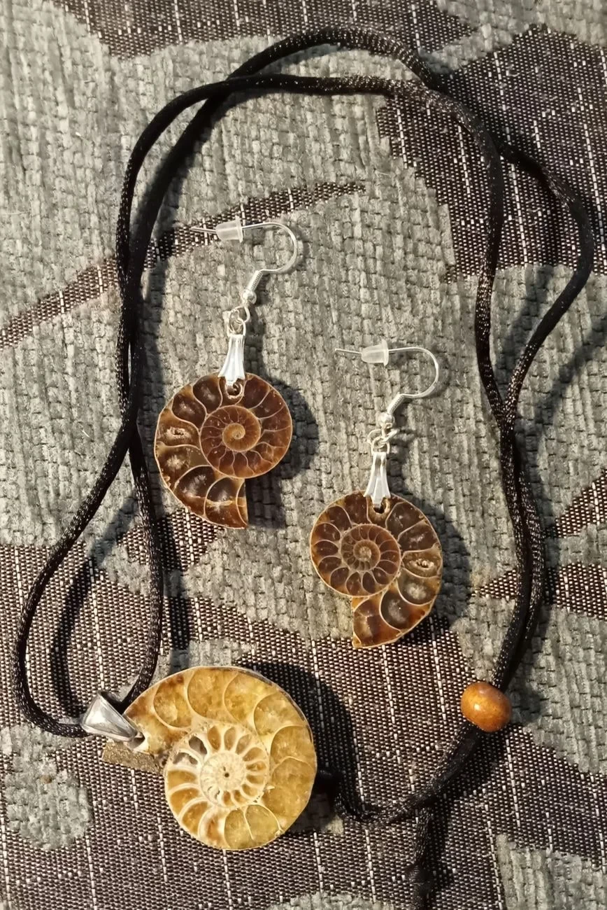 Fossil as Fashion, from What Fossils Taught Us About Deep Time