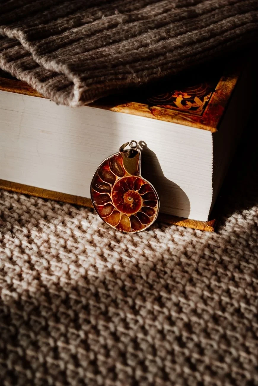 Everyday Still Life, from What Fossils Taught Us About Deep Time