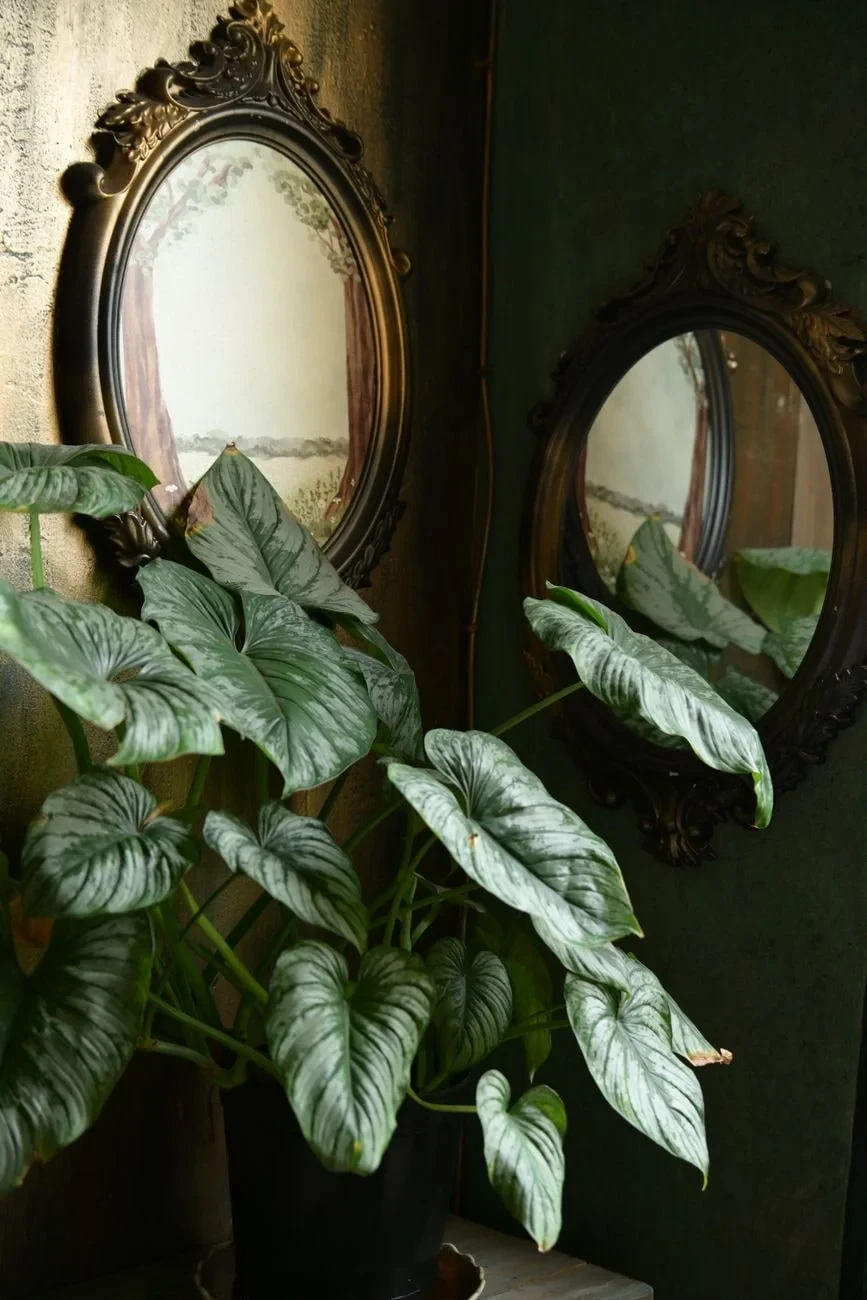 Doubled Growth, from What Mirrors Did to the Self