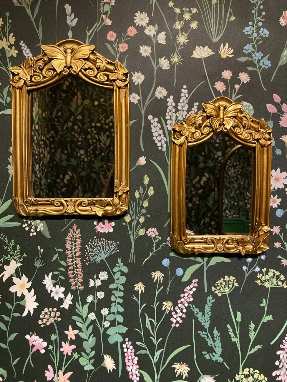 Frames Within Frames, from What Mirrors Did to the Self