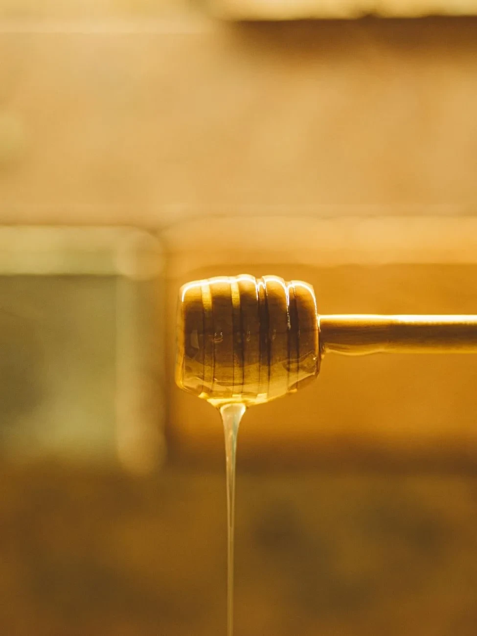 Farm Morning, from Why Honey Never Spoils