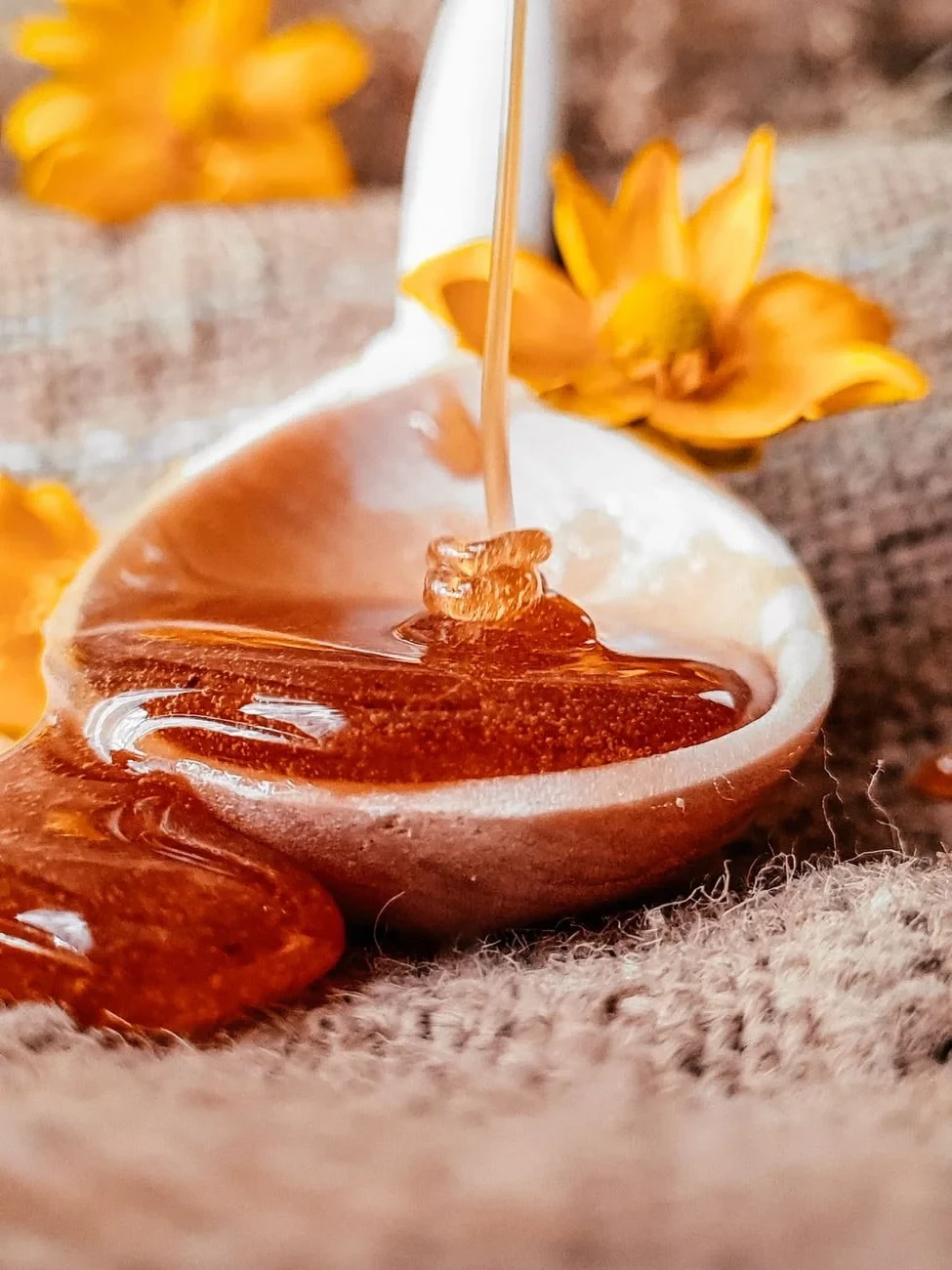 Sweetness and Growth, from Why Honey Never Spoils