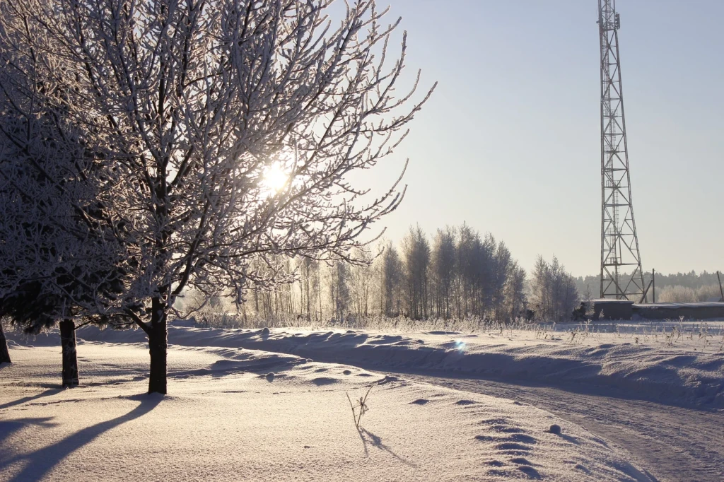 Tower and Trees, from Winter Survival
