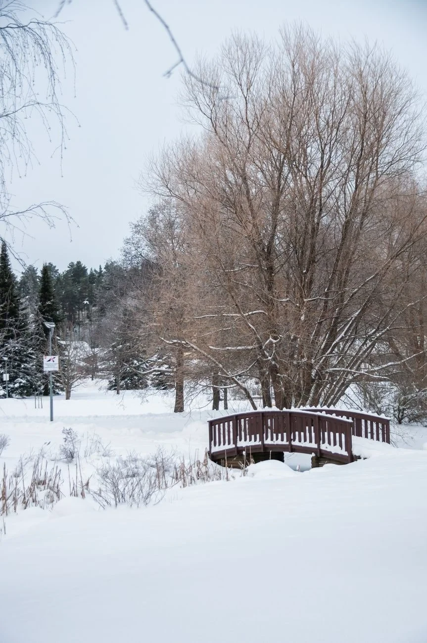 Wooden Bridge, from Winter Survival