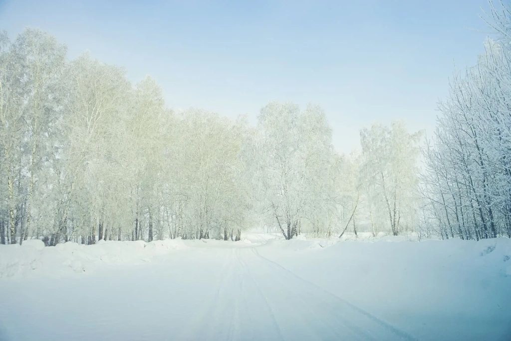 Frost-lined passage, from Winter