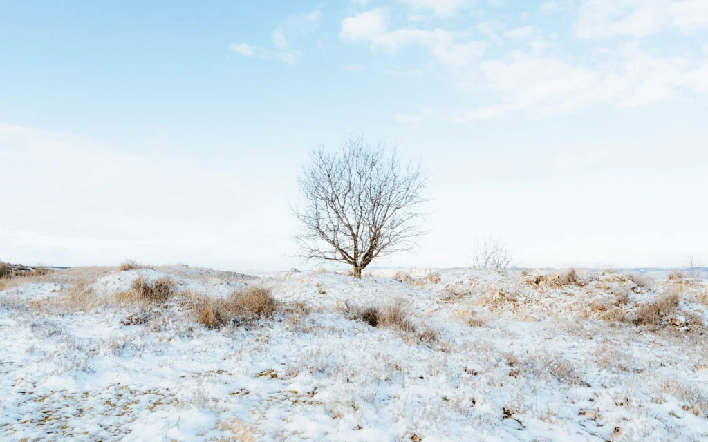 Solitude, from Winter