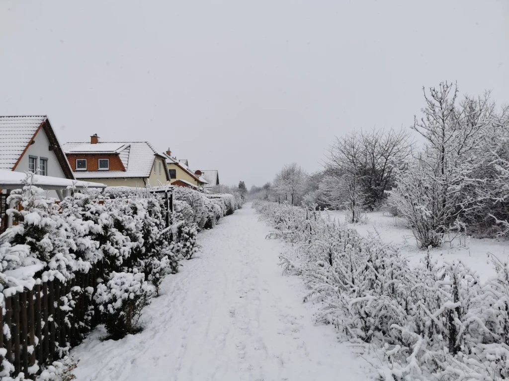 Domestic winter, from Winter