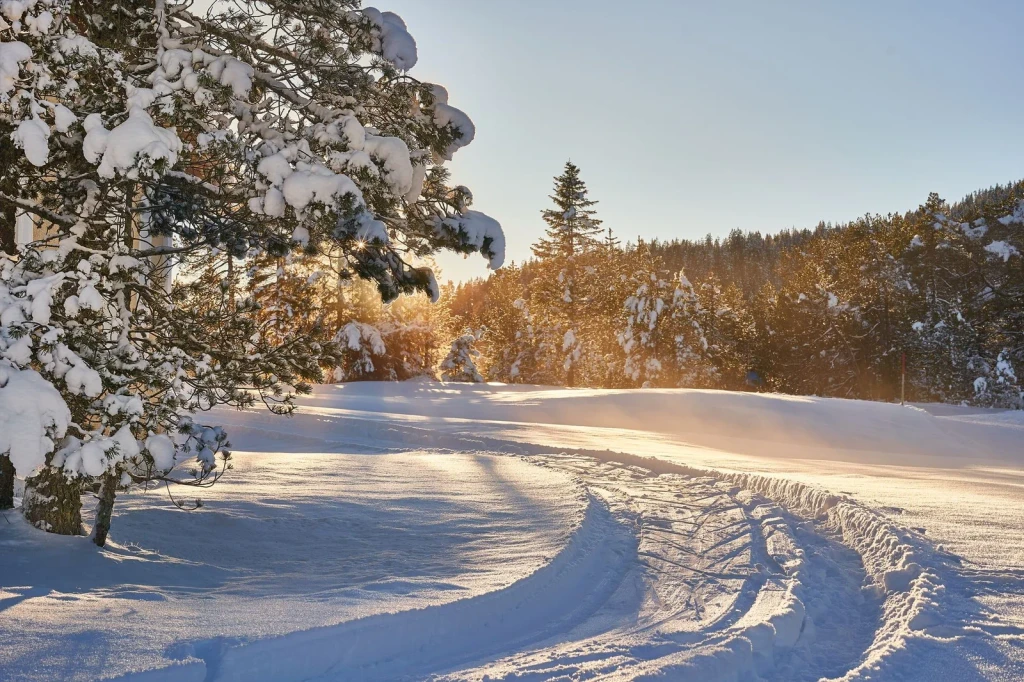 Dawn in white, from Winter