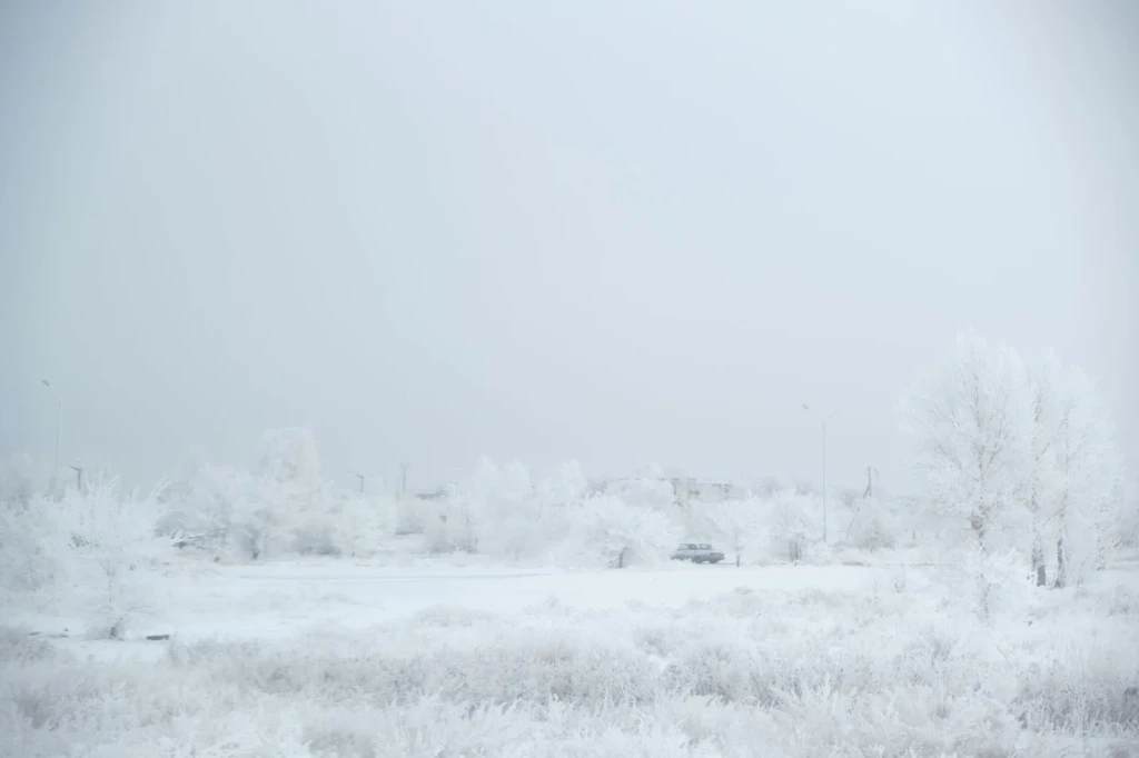 Solitary journey, from Winter