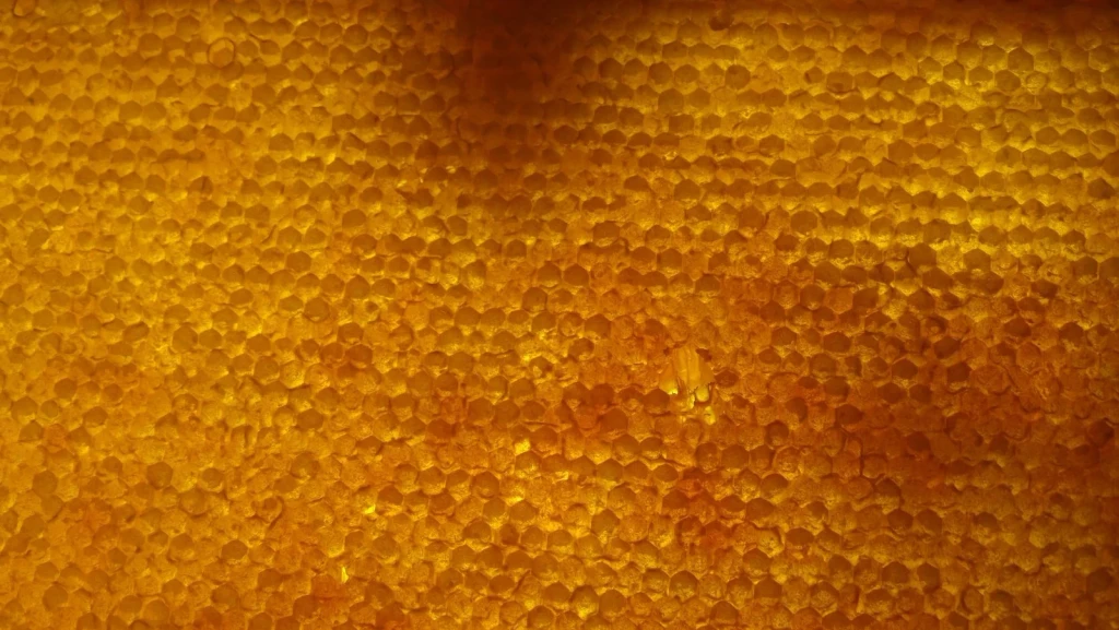 Honeycomb Pattern, from Worlds Preserved Inside Amber