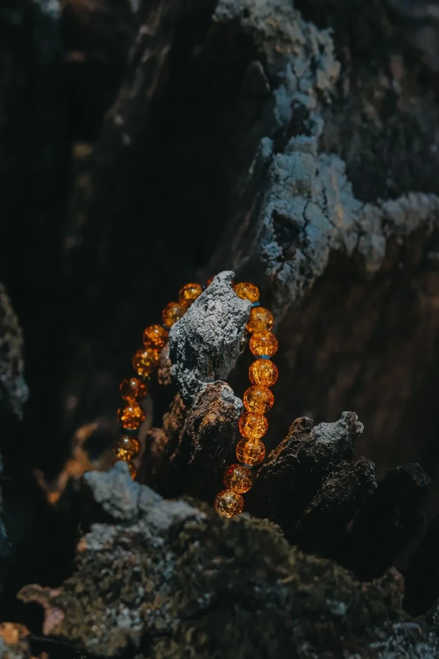Draped History, from Worlds Preserved Inside Amber