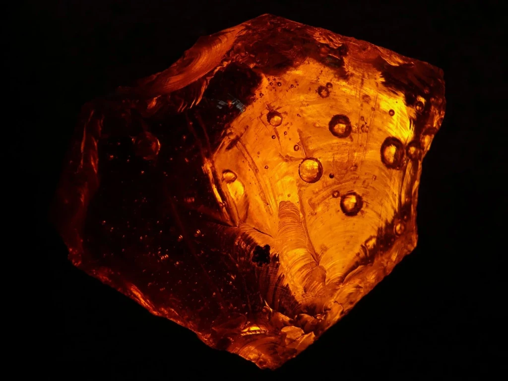 Light Within, from Worlds Preserved Inside Amber