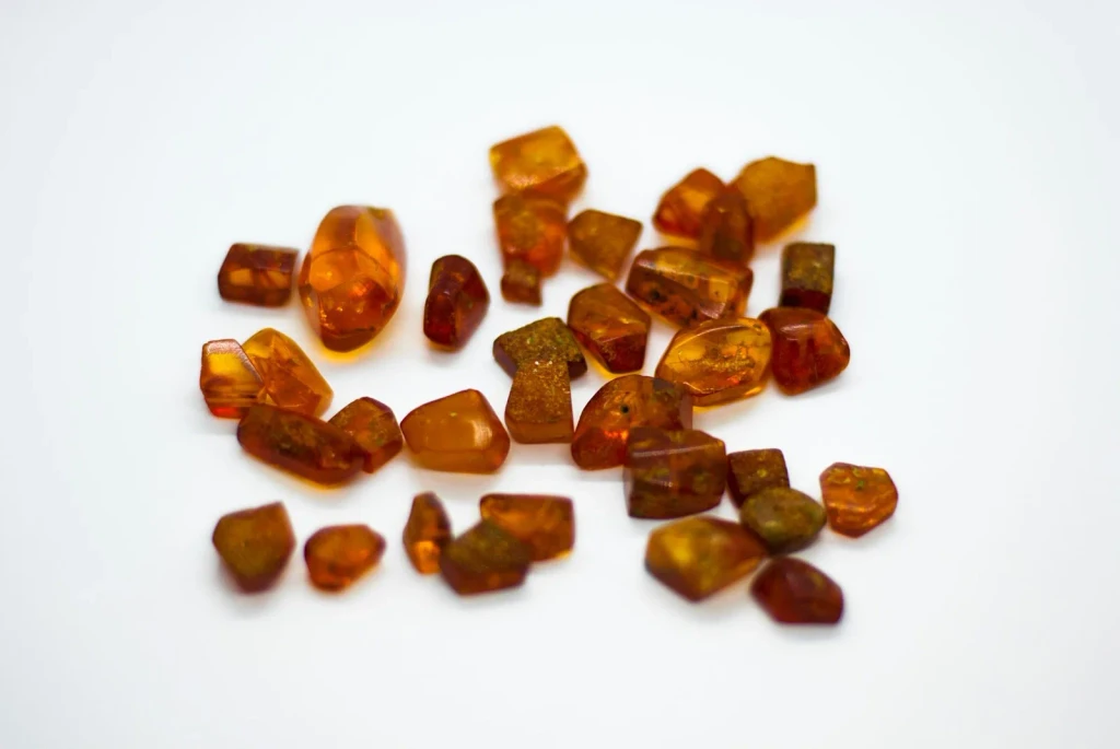 Raw Materials, from Worlds Preserved Inside Amber
