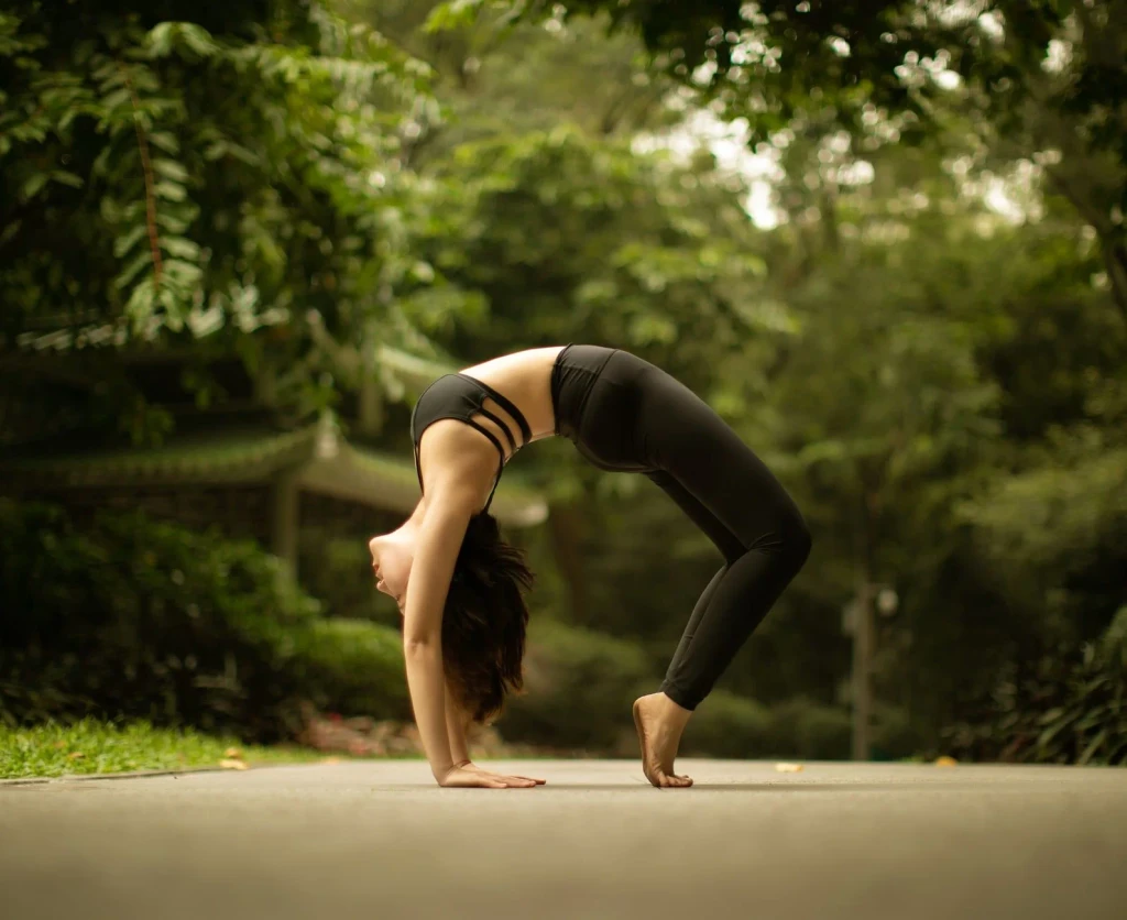 The Wheel, from Yoga: Thousands of Years of Stillness